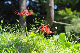 image0151