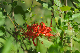 image0152