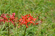 image0153