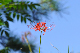 image0154
