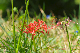 image0155