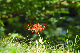 image0156