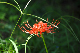 image0157