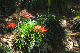 image0158