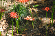 image0159
