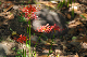 image0162