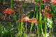 image0163