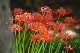 image0164