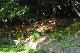 image0167