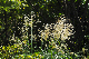 image0168