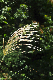 image0169
