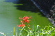 image0171