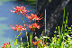 image0173