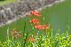 image0174