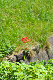 image0175