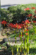 image0176