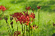 image0178
