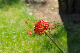 image0179