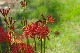 image0181