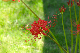 image0183