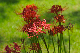 image0184