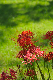 image0185