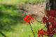 image0186
