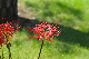 image0187
