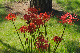 image0188