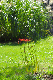 image0190