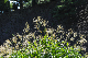 image0191