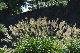 image0192