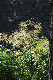 image0193