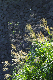 image0195