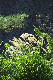 image0196