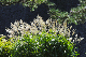 image0197