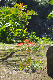 image0198