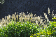 image0199