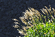 image0200