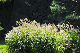 image0202