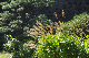 image0203