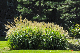 image0204