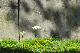 image0205