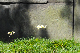 image0206