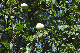 image0207