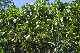 image0208