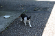 image0209