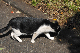 image0210