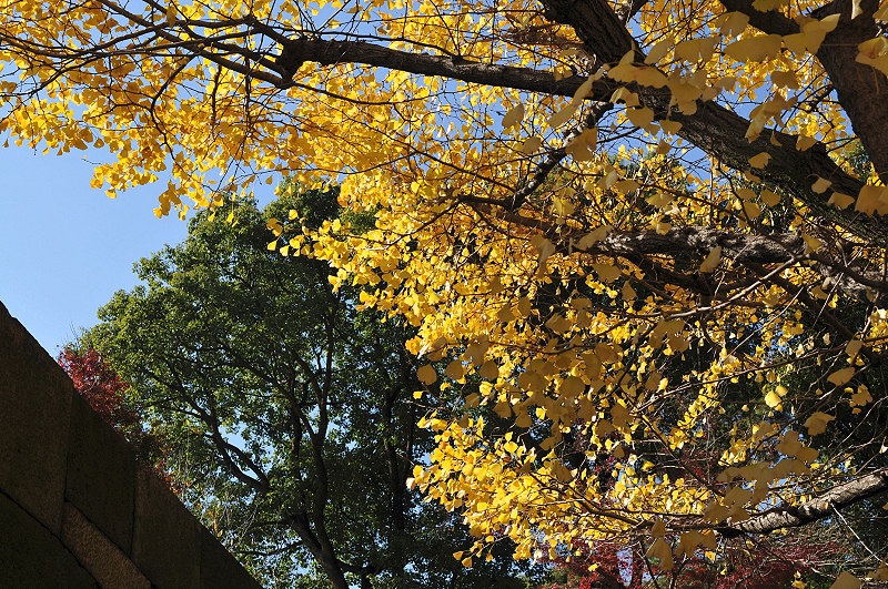 image0279