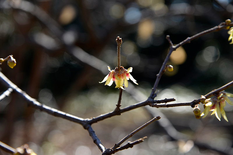 image0012